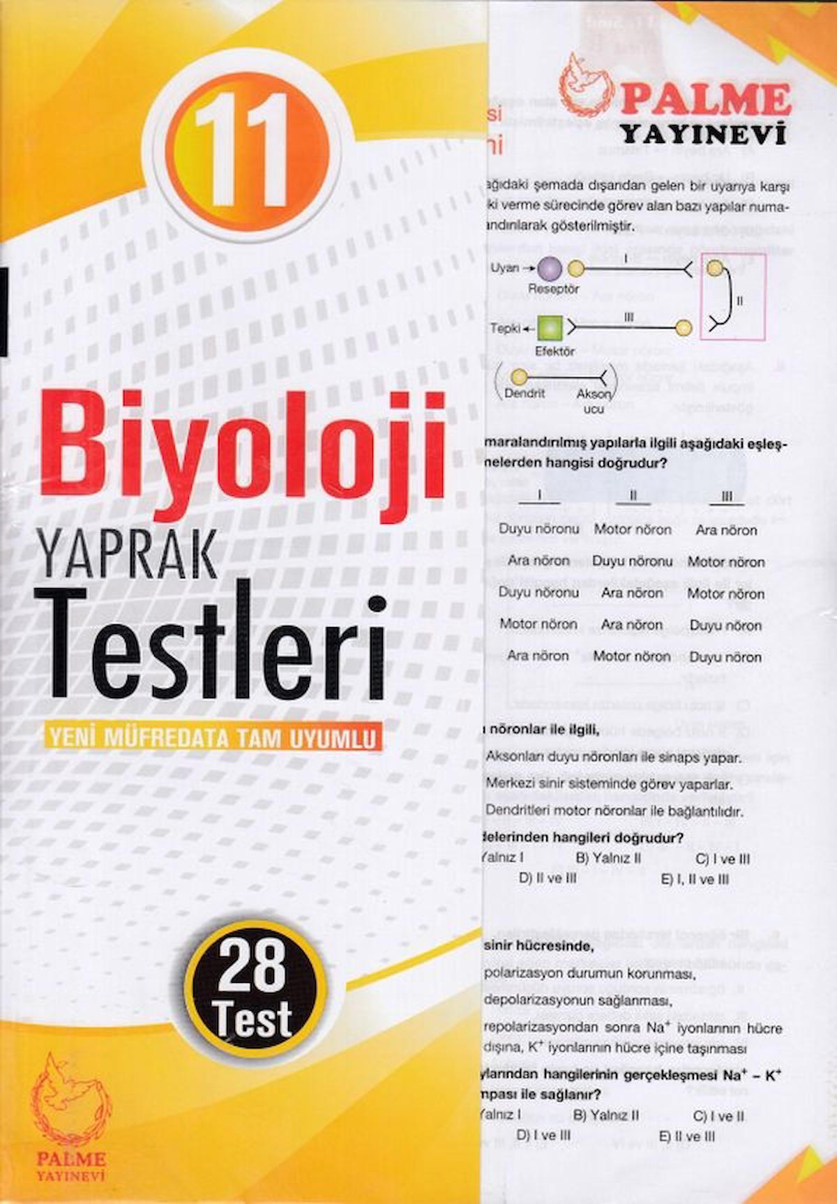 Palme S N F Biyoloji Yaprak Test Yeni Fiyatlar Ve Modelleri