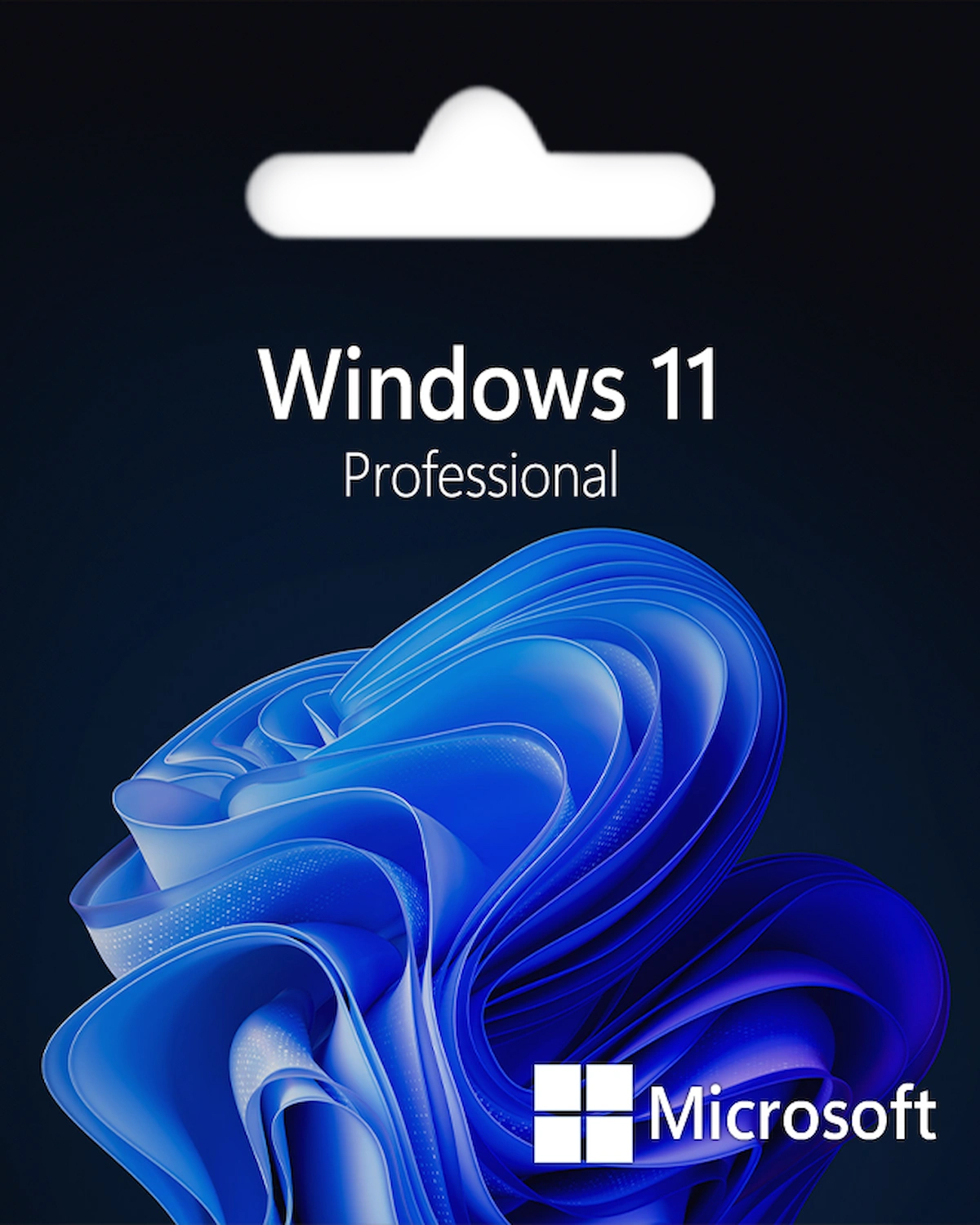 Windows 11 Pro