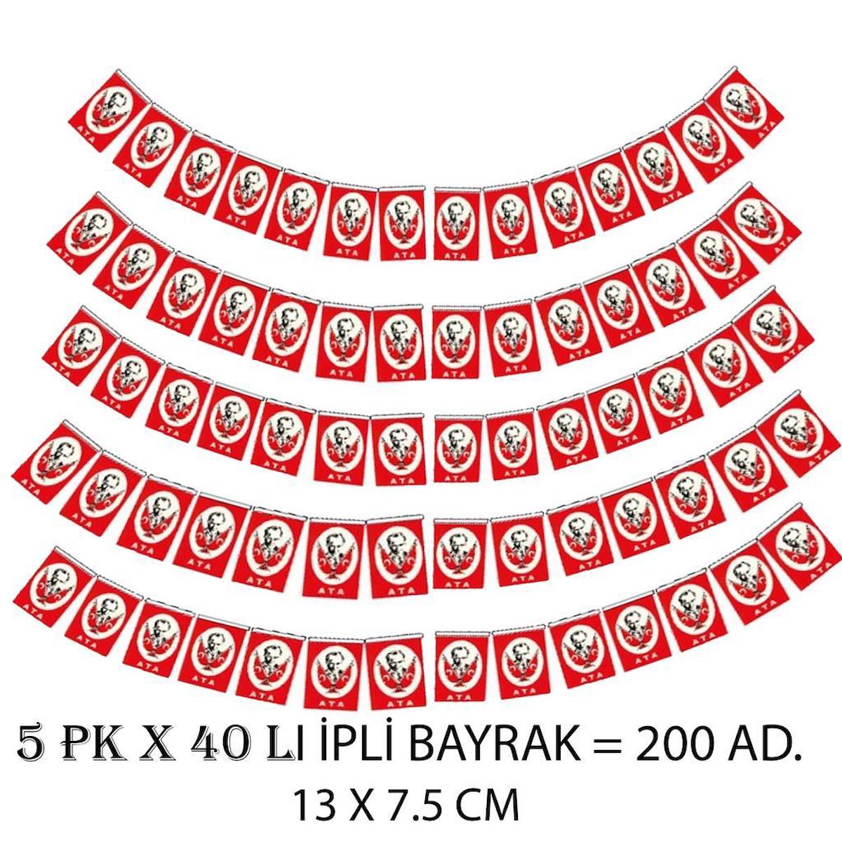 Eren İpli Atalı Bayrak Orta Boy 13 x 7.5 - 5 Paket