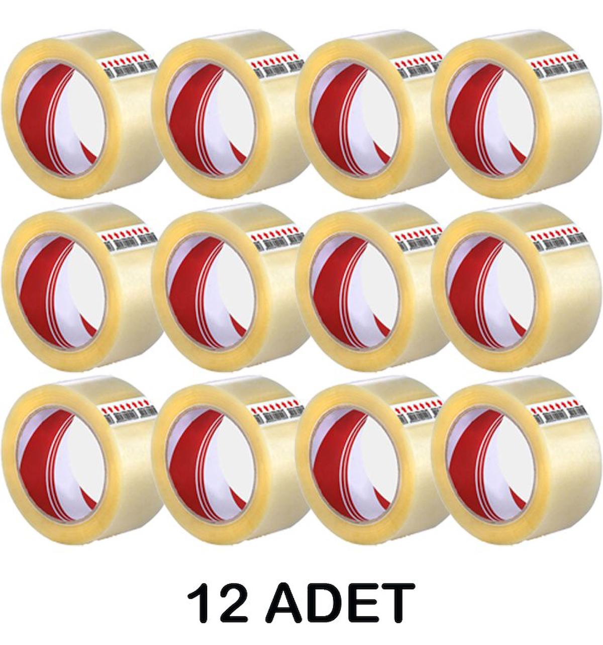 12'li Koli Bandı 45x100 MT