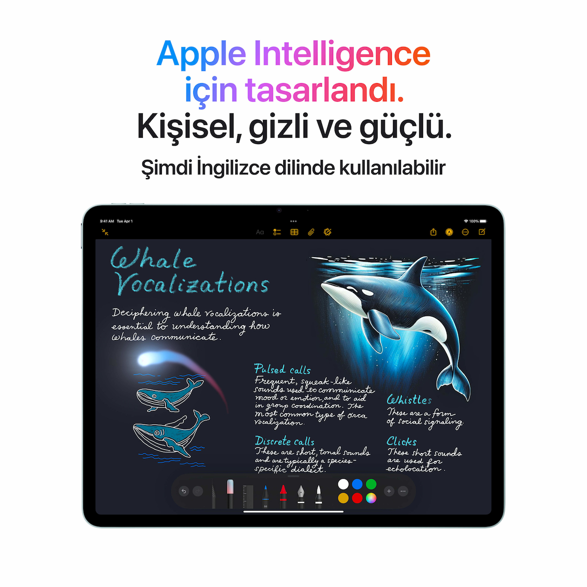 iPad Air M3 Wi-Fi 128 GB 11"  Tablet MCA04TU/A - Mor