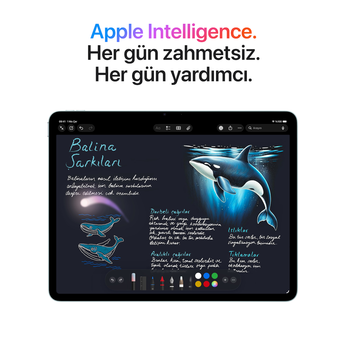 iPad Air 13 inç M4 Wi-Fi 128GB (MH5N4TU/A) – Uzay Grisi
