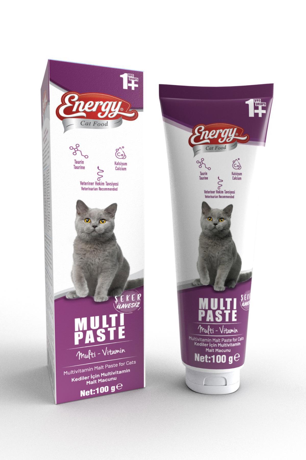 Energy Multi Paste 100gr Multivitamin Malt (Bağışıklık Sistemi Destekleyici Tüy Yumağı Önleyici)