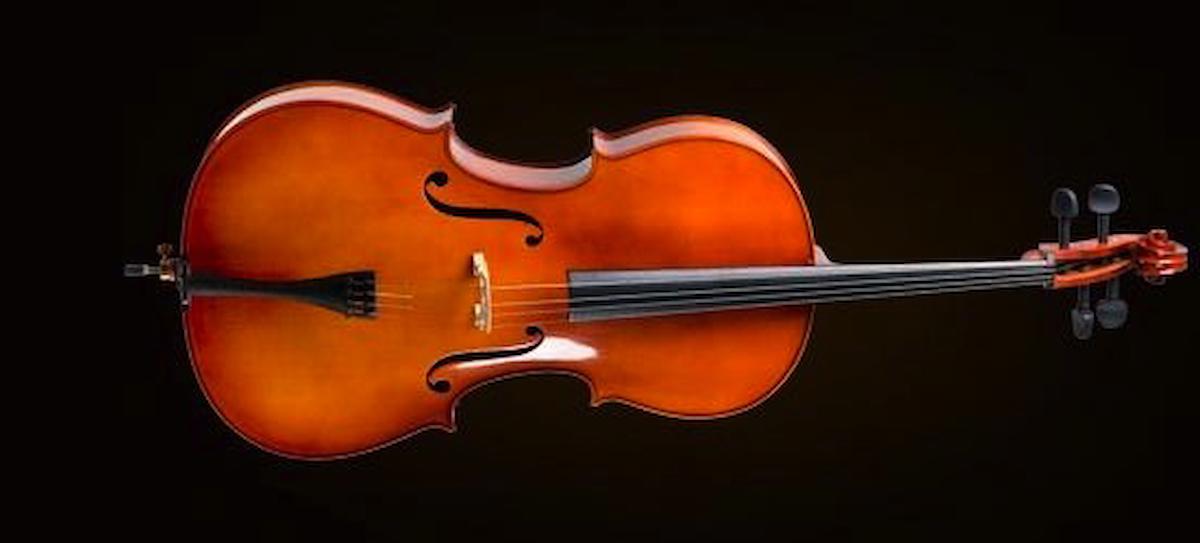 CELLO KILIFLI+YAY+REÇİNE, 1/2 SCALE, GERMAN SİSTEM