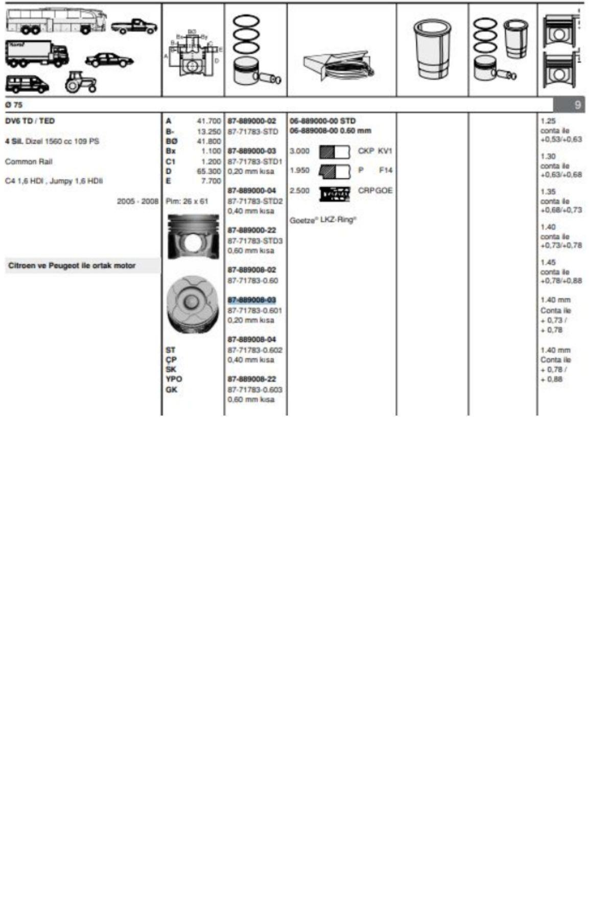 Piston Sekman 206 307 Partner 308 3008 5008 Berlingo 0,60 0,20 KISA DW6 (8771783060100-0628V1)