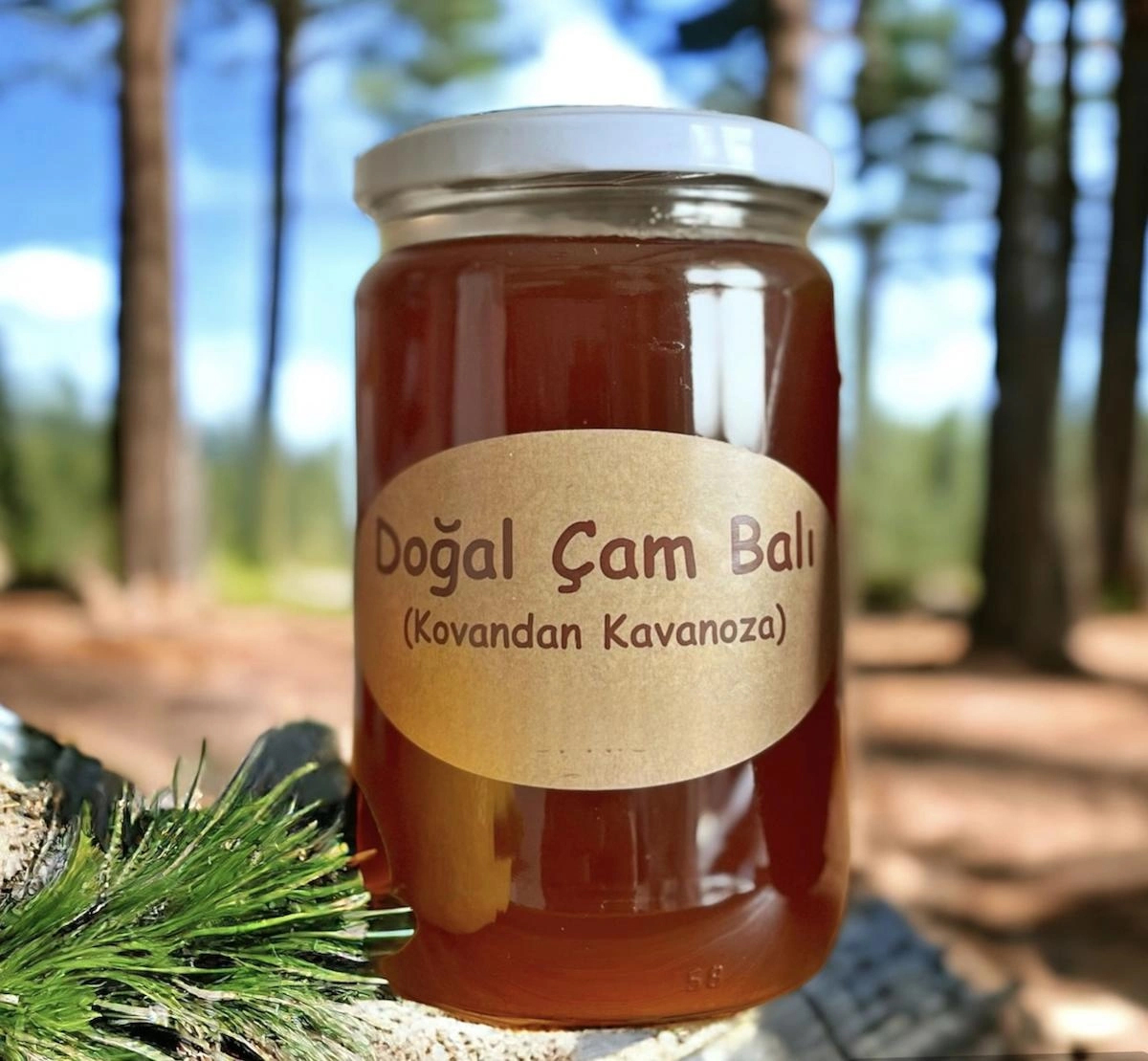 DOĞAL HAM ÇAM BALI