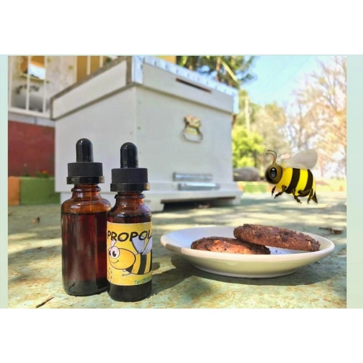 Propolis Damlası 20 cc 