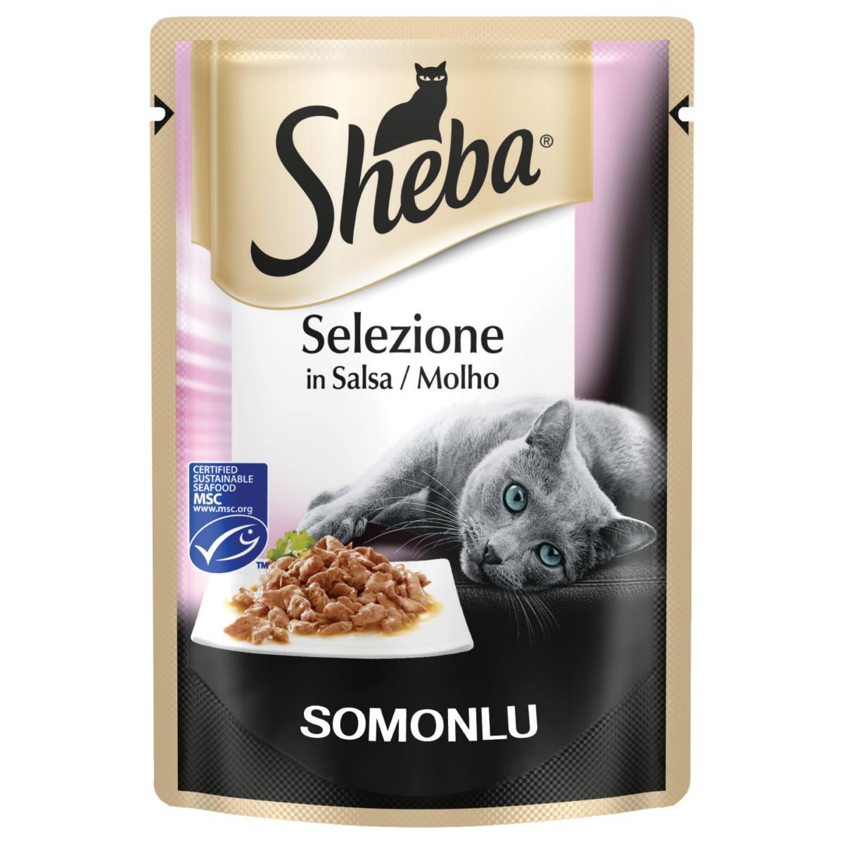 Sheba Pouch Somon Balıklı Yetişkin Kedi Konservesi 85 Gr