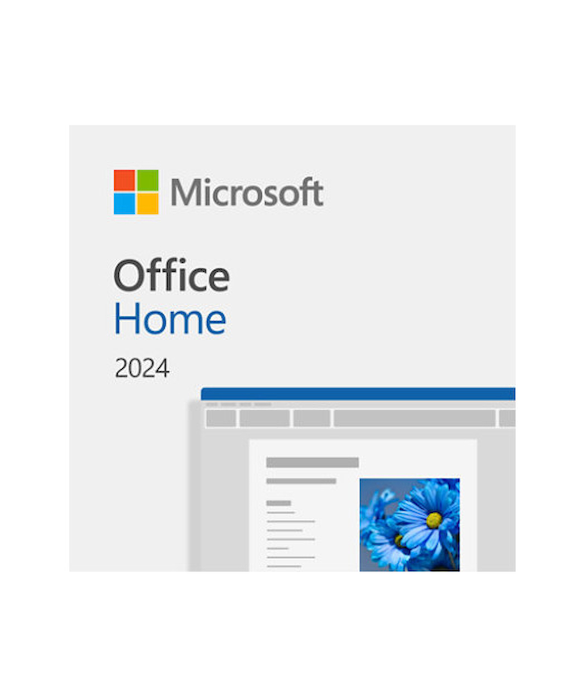 Microsoft Office Ev 2024 - ESD