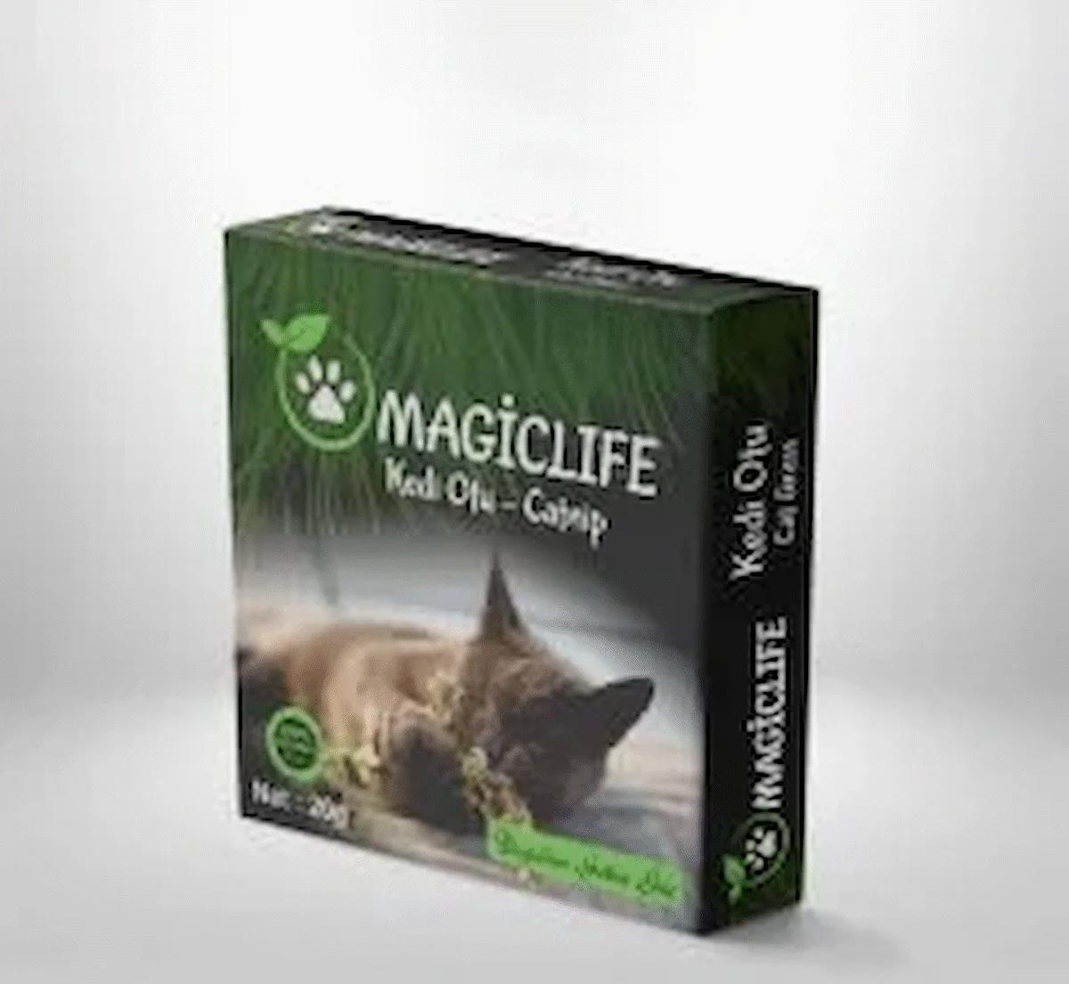 MAGIC LIFE Catnip Otu Kutulu Doğal %100 Nepeta cataria