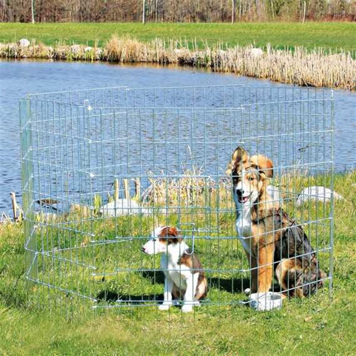 Trixie Yavru Ve Küçük Köpek Açık Hava Oyun Alanı