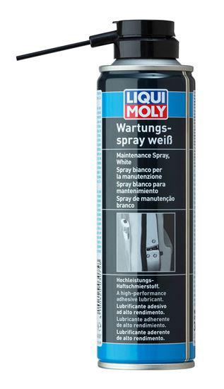 LIQUI MOLY Kilit Bakım Spreyi 250 ml (3075)