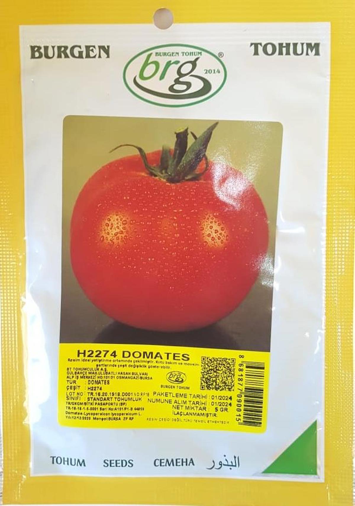 BT İri Domates Tohumu - H2274 (5 gr)