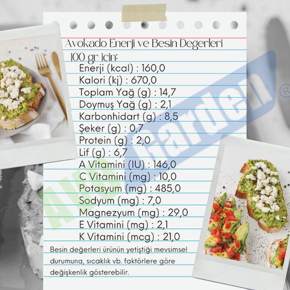 AvoGarden Taze Avokado 5'li Paket - 200 - 250 gr Arası