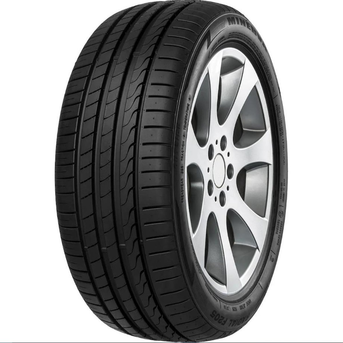 225/40R19 93Y XL F205 MINERVA