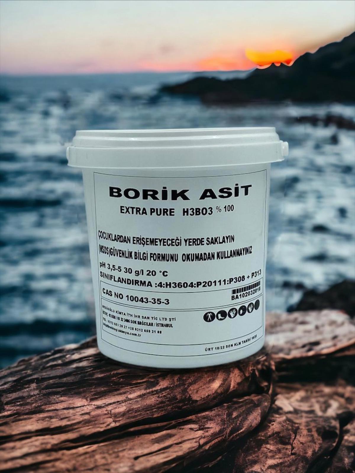 1 Kg Borik Asit