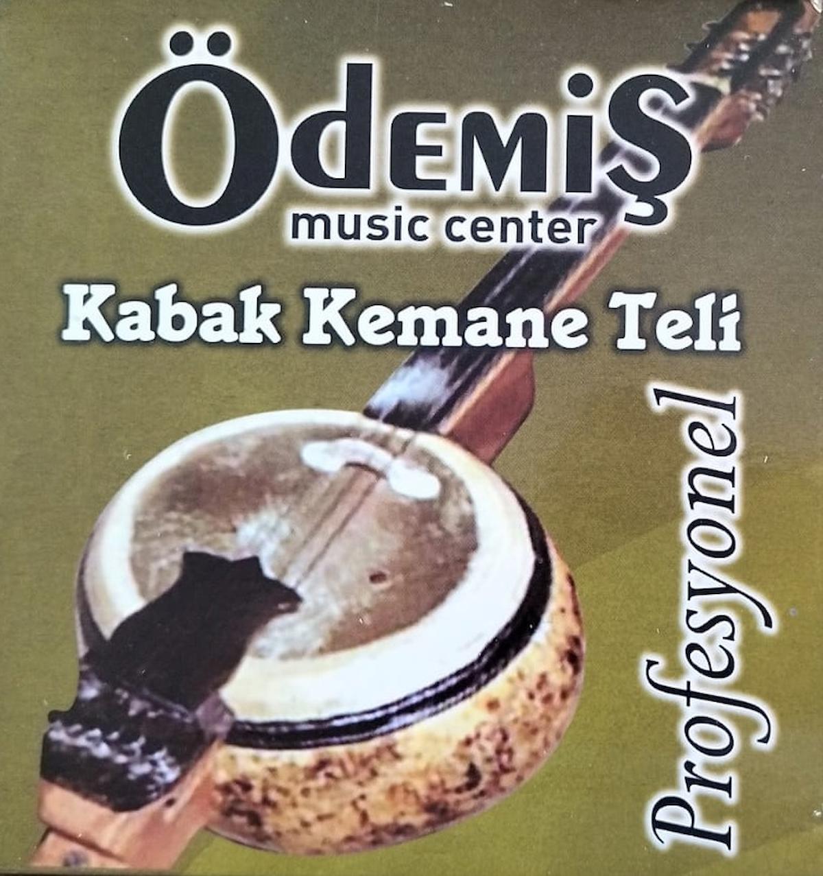 ÖDEMİŞ KABAK KEMANE TELİ TAKIM