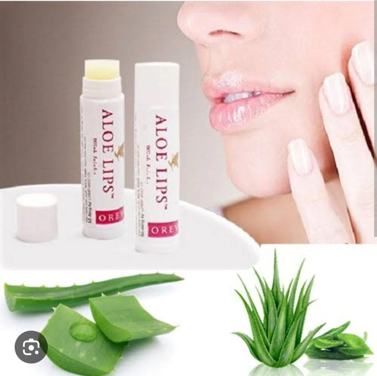 Aloe Lips 2 Adet