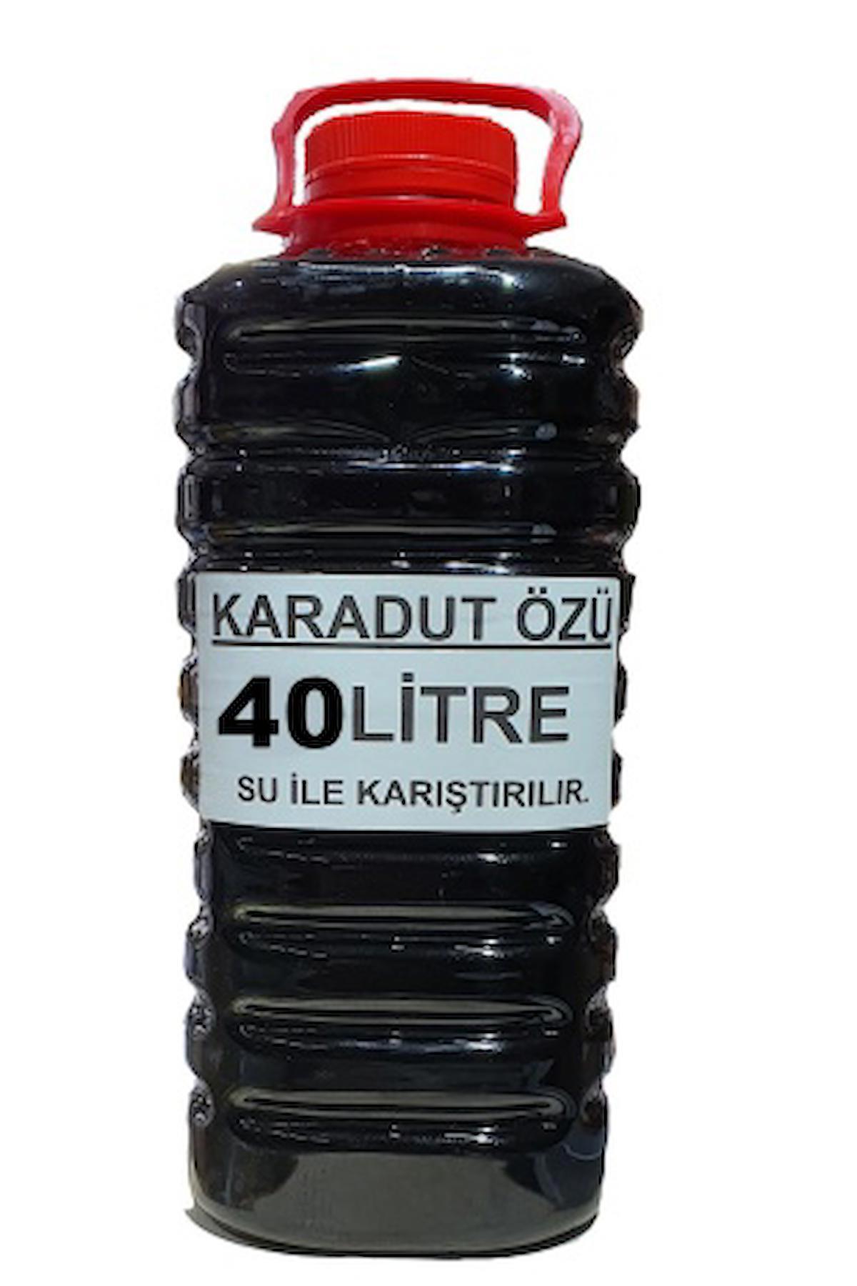 ALMİLA ZEYTİNEVİ KARADUT KONSANTRESİ 4KG EKO BOY