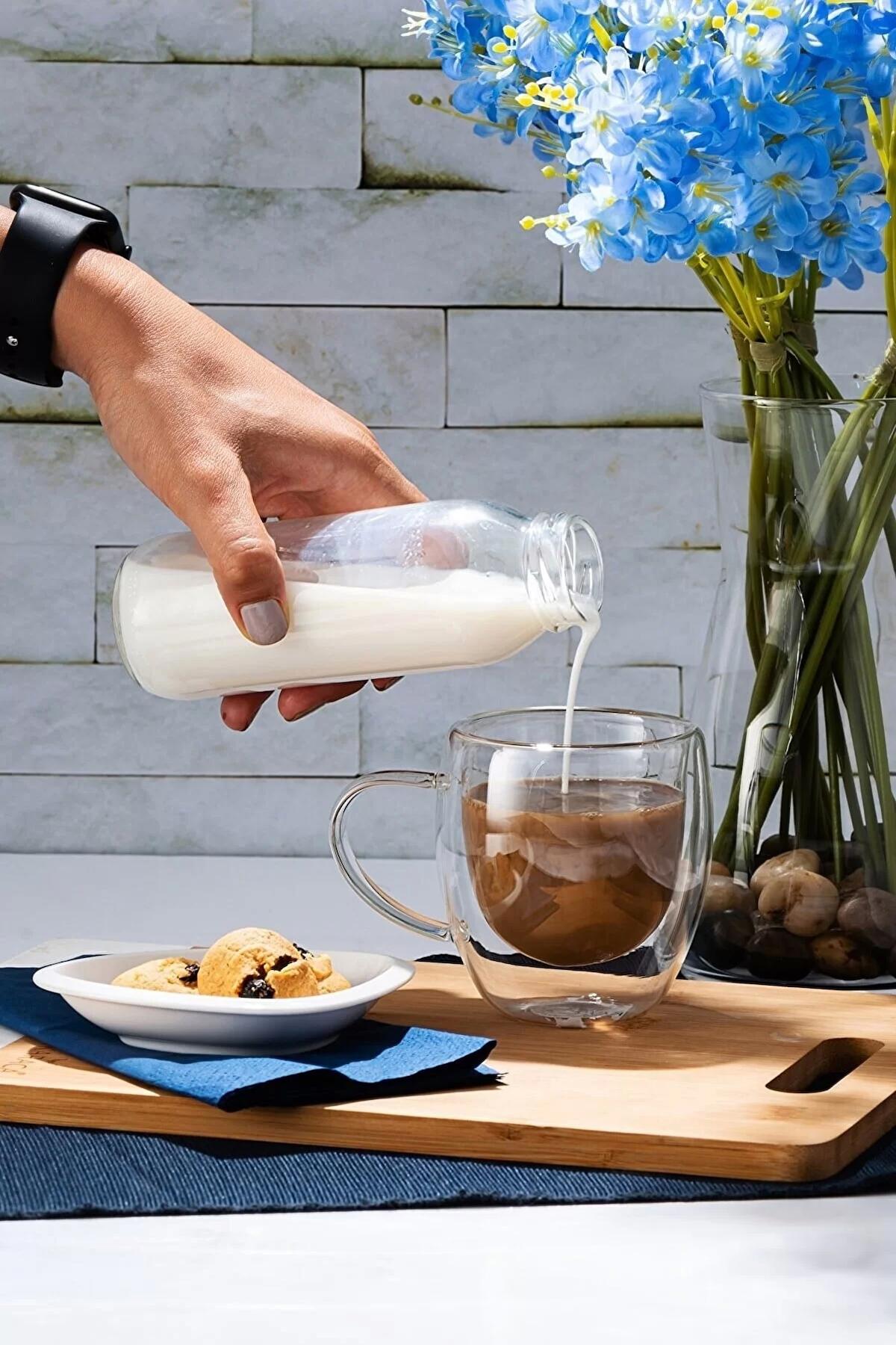 Çift Camlı Çift Cidarlı Cam Kupa 250 ml Ev Ofis Fincanı Çift Katlı Isı Yalıtımlı Kulplu Cam Bardak