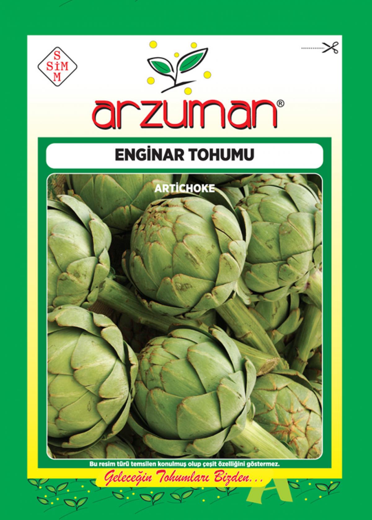 ENGİNAR TOHUMU (20 TOHUM)