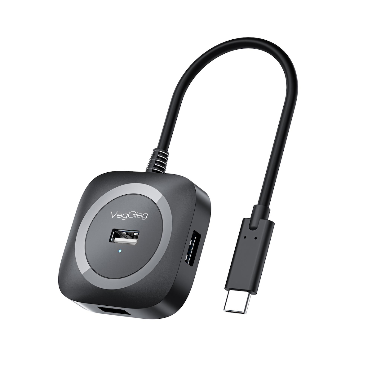 VegGieg 4 Portlu Type-C to USB 2.0 Çoklayıcı Hub