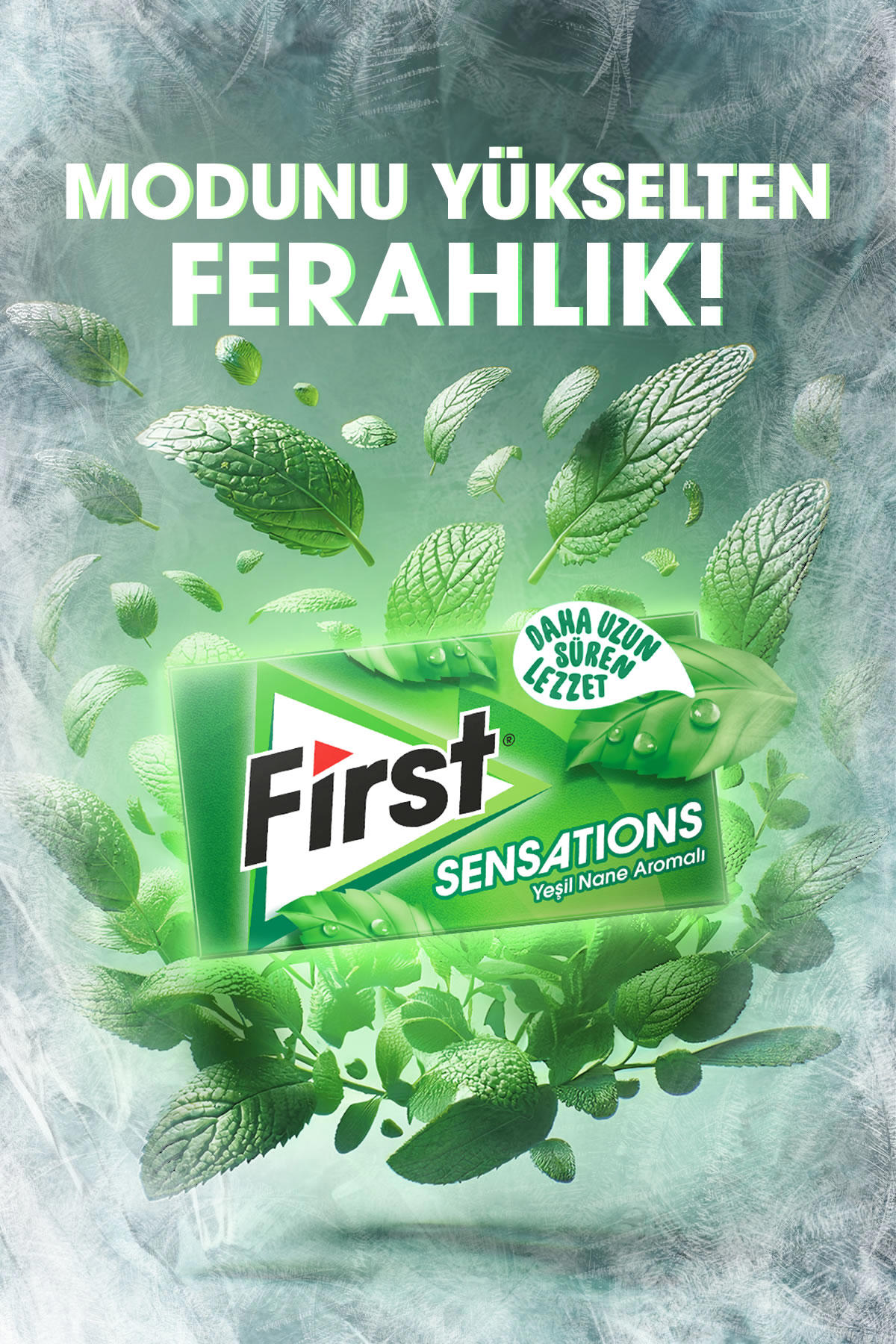 First Sensations Yeşil Nane 27Gr 12 ADET