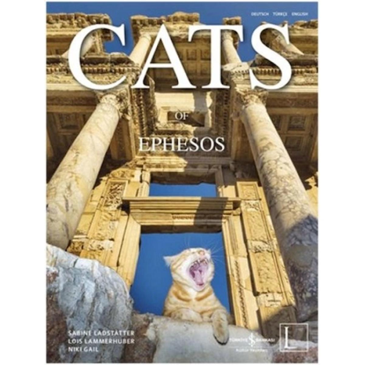 Cats of Ephesos