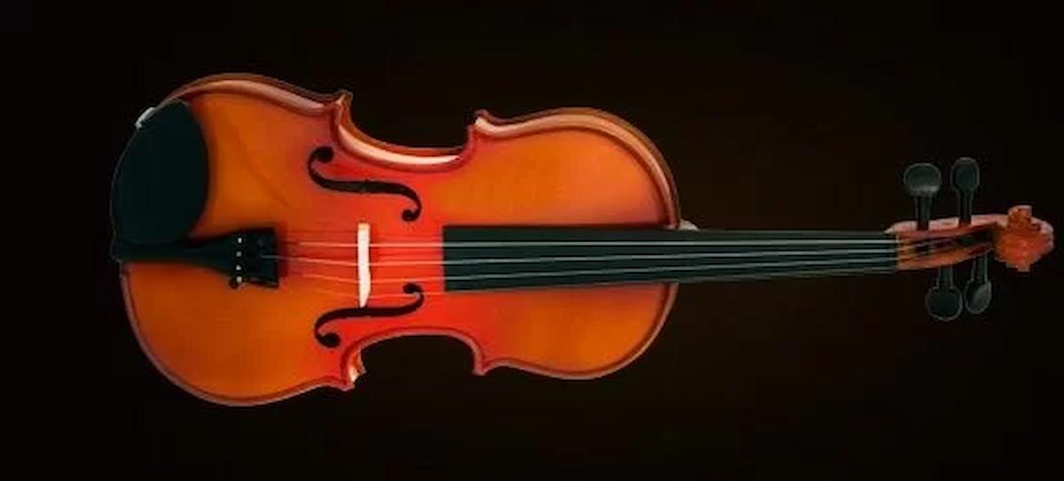 Valencıa Va400 Viola Kutulu 15.5" (39,37cm)