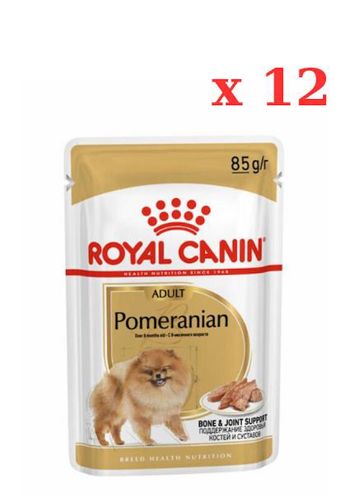 Royal Canin Pomeranian 12x85 Gr Konserve mama