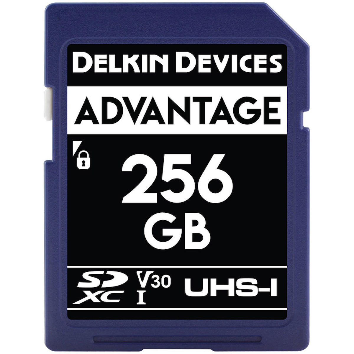 256GB Advantage 100MB/s SDXC Hafıza Kartı