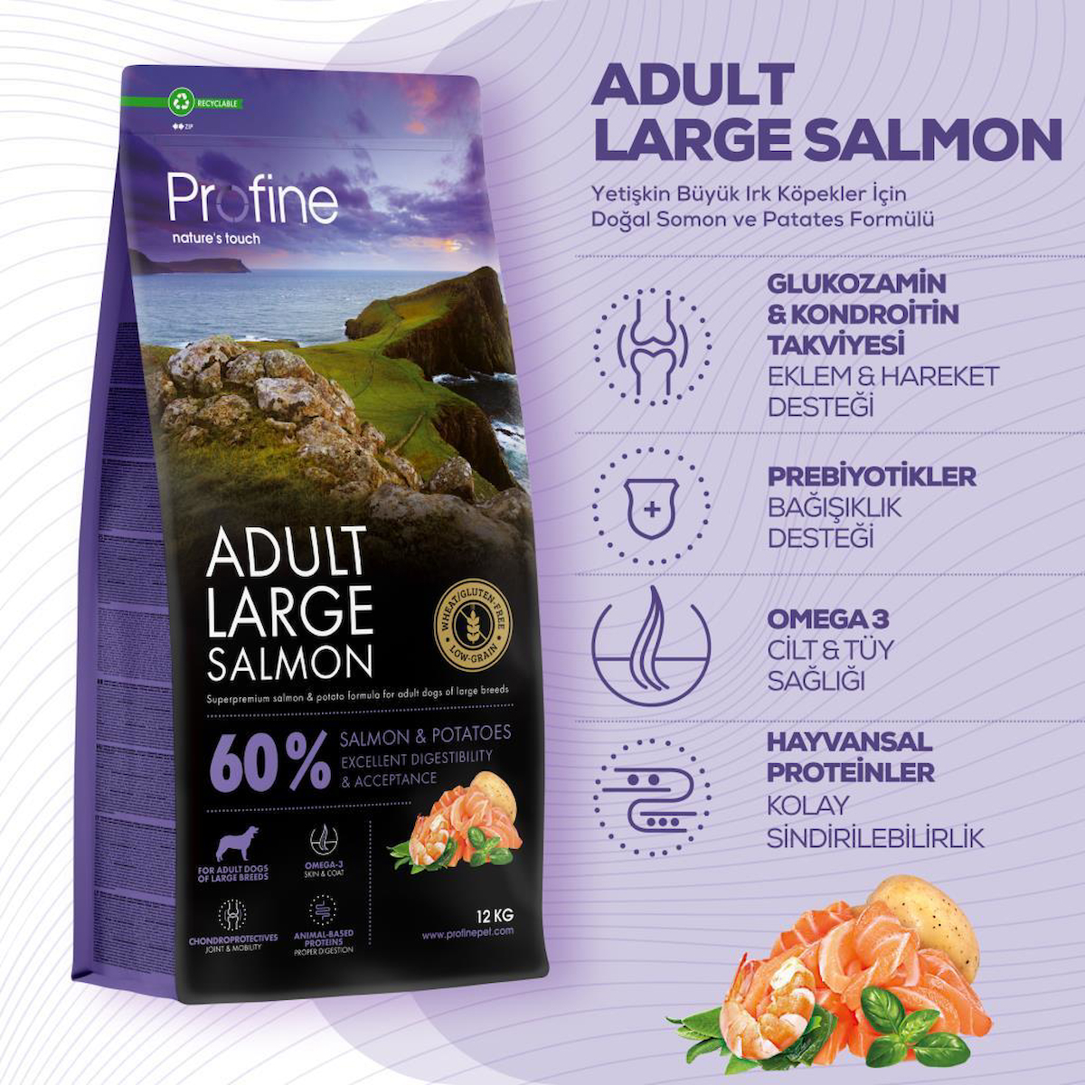 Profine Large Salmon Glutensiz Somonlu Büyük Irk Yetişkin Köpek Maması 12 kg