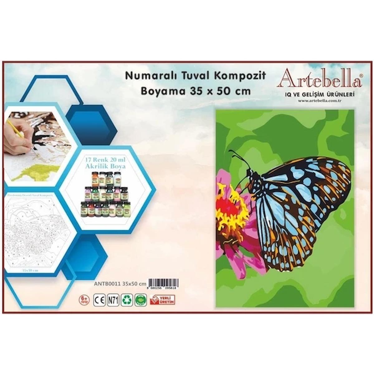 Artebella 35x50 Numaralı Kompozit Tuval Boyama papağan ANT00010