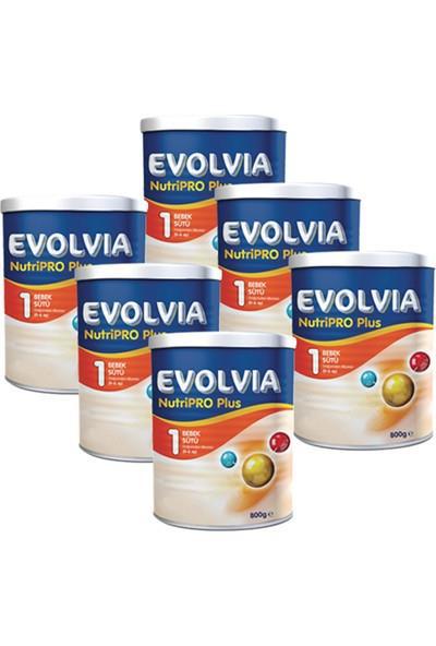 Evolvia NutriPro PLUS 1 Bebek Maması 800 gr x 6 Adet