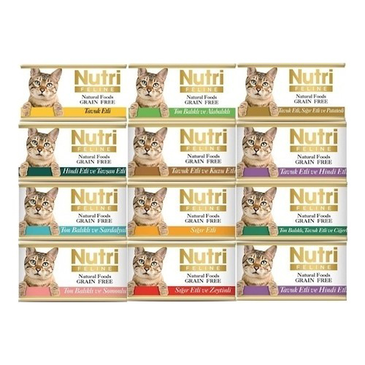 Nutri Feline Tahılsız Kedi Konserve Karışık Ekonomik Paket x 12'li