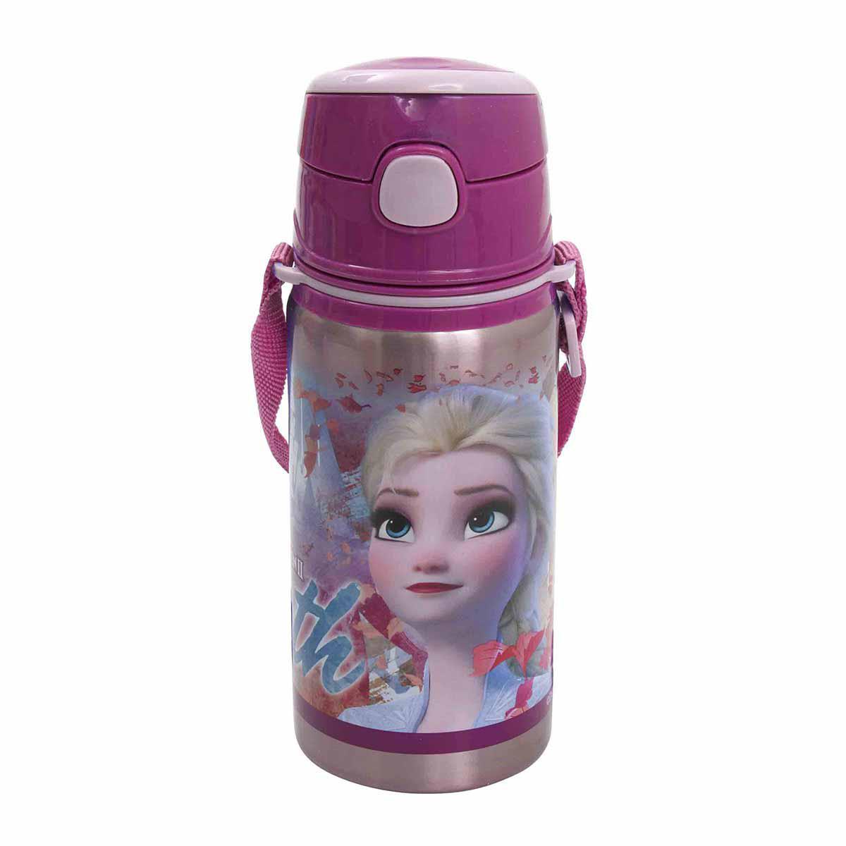 Frozen 42072 500 ML Hidden Truth Salto Çelik Matara