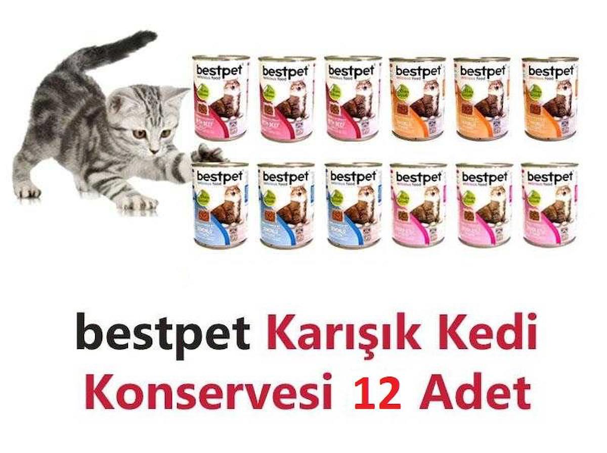 Bestpet Karma Koli Kedi Konservesi 12 X 415 Gr