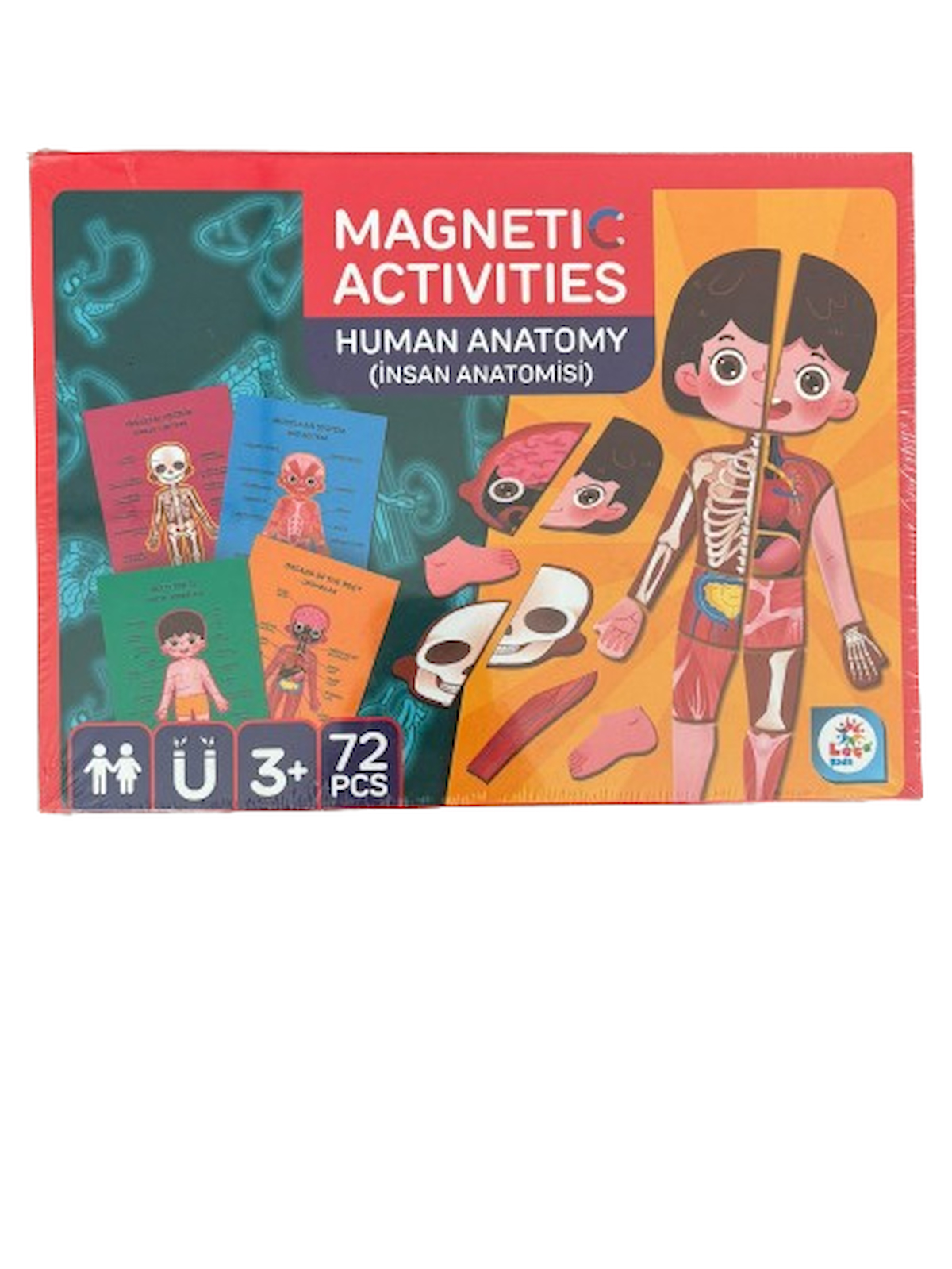 Laço Kids Manyetik İnsan Anatomisi Aktivite Oyun Seti LC8543