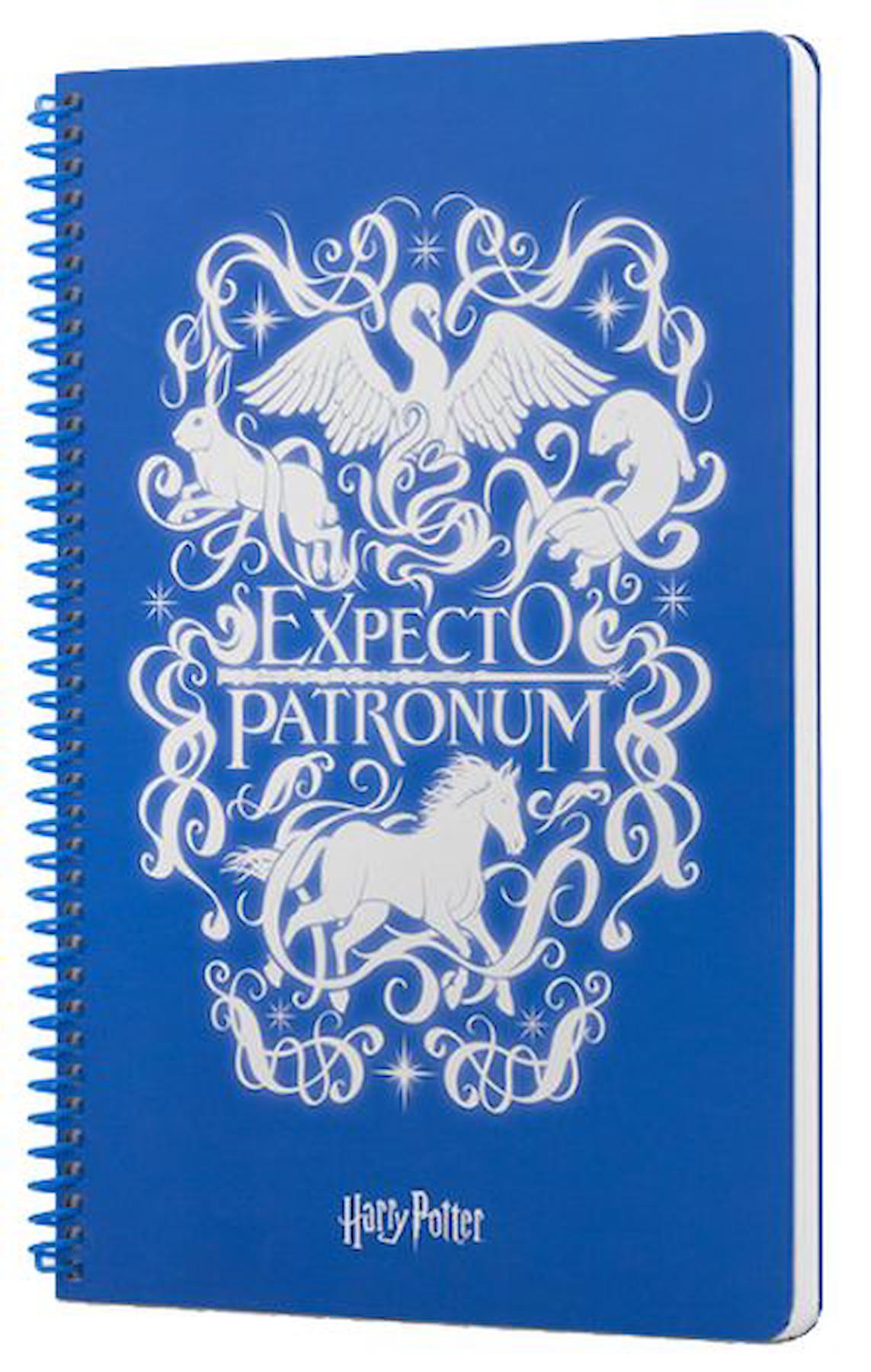 Harry Potter Expecto Spiralli Defter Mavi