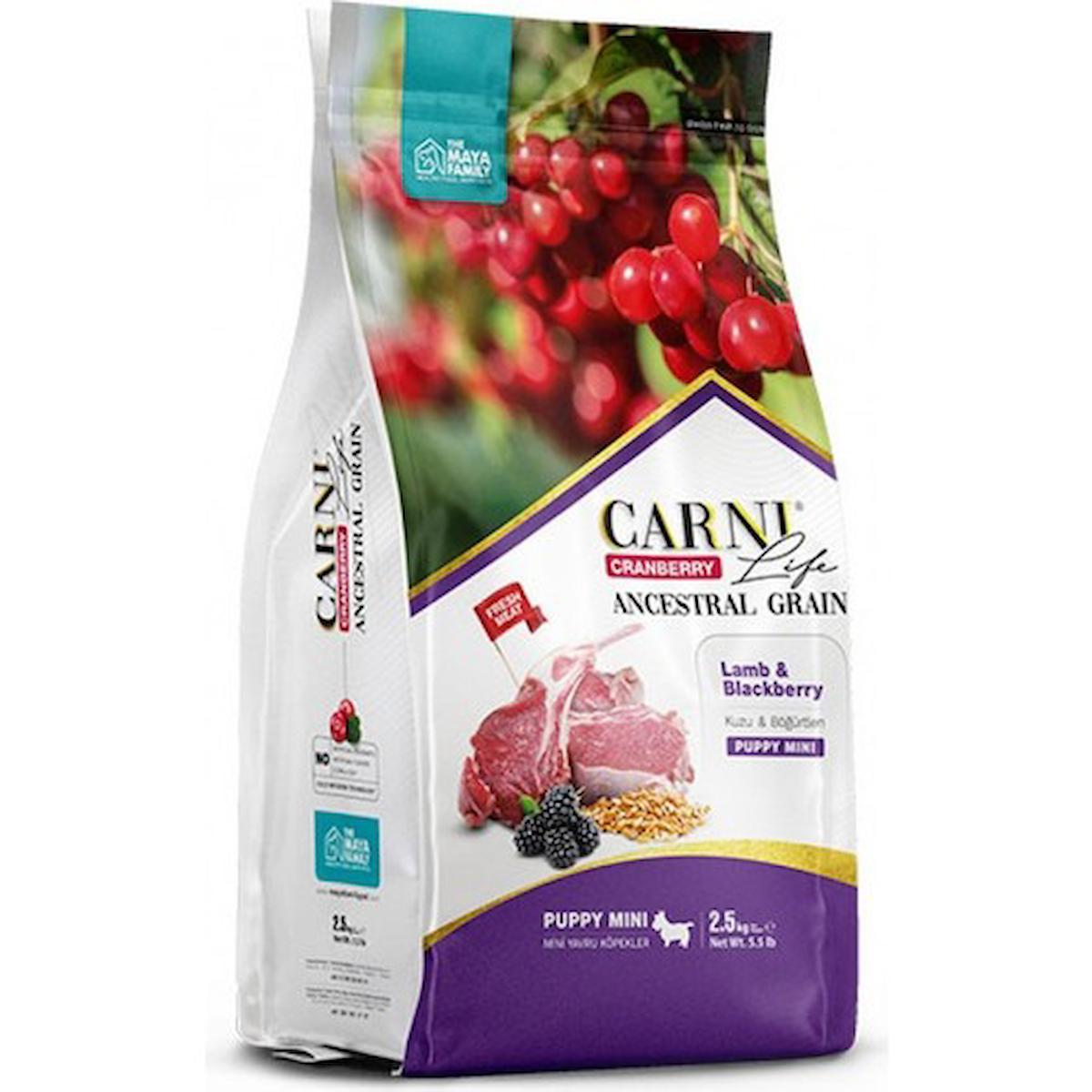 Carni Dog Puppy  Mini Kuzu Etli/Bögürtlen Köpek Maması 2.5 KG