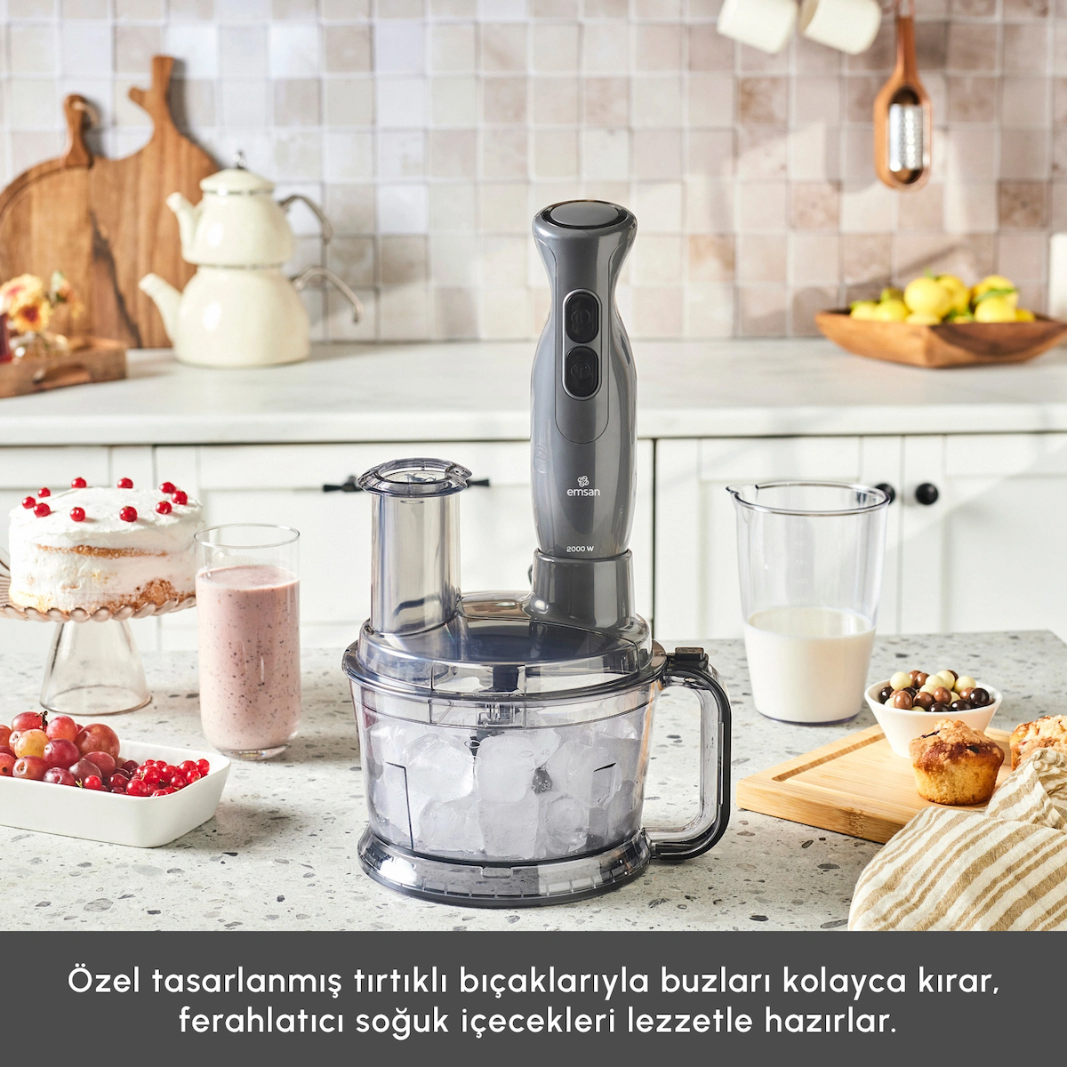 Emsan Pro Multimax 6 in 1 Çok Amaçlı Mutfak Robotu Space Gray 2000 W