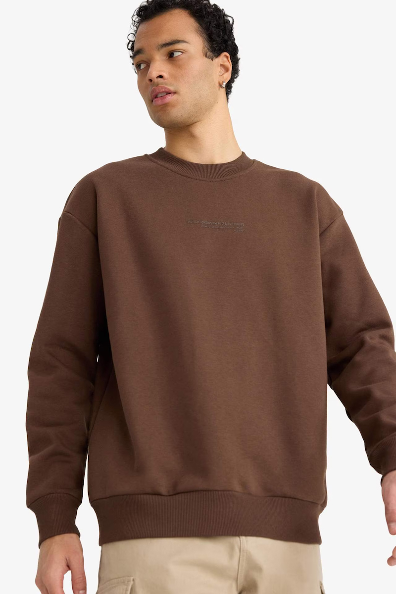 Boxy Fit Bisiklet Yaka İçi Yumuşak Tüylü Baskılı Sweatshirt