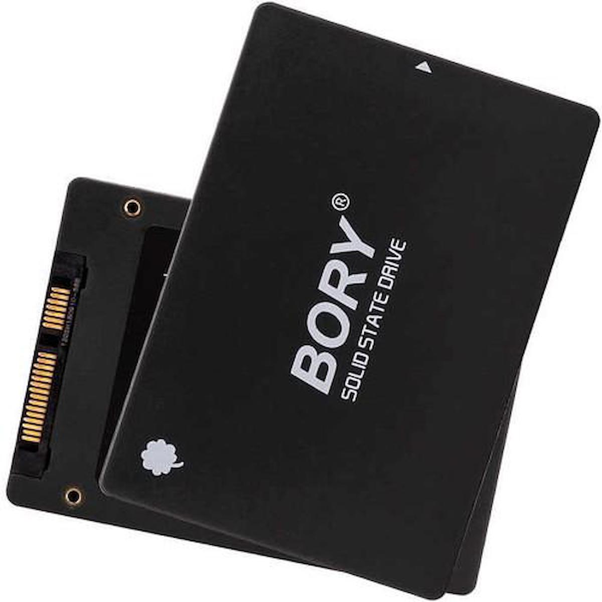 Bory 256 GB SATA3 R500-C256G SSD 550/500 MBS SSD