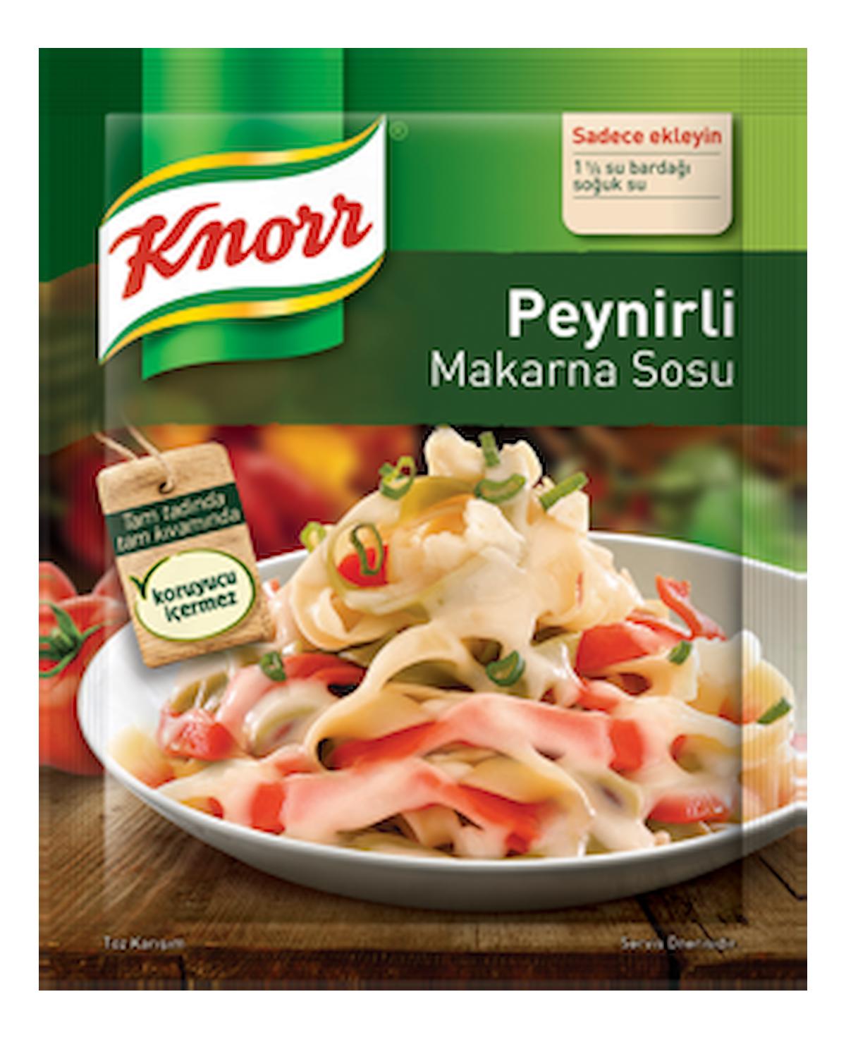 KNORR MAKARNA SOSU 50GR PEYNIRLI 0944