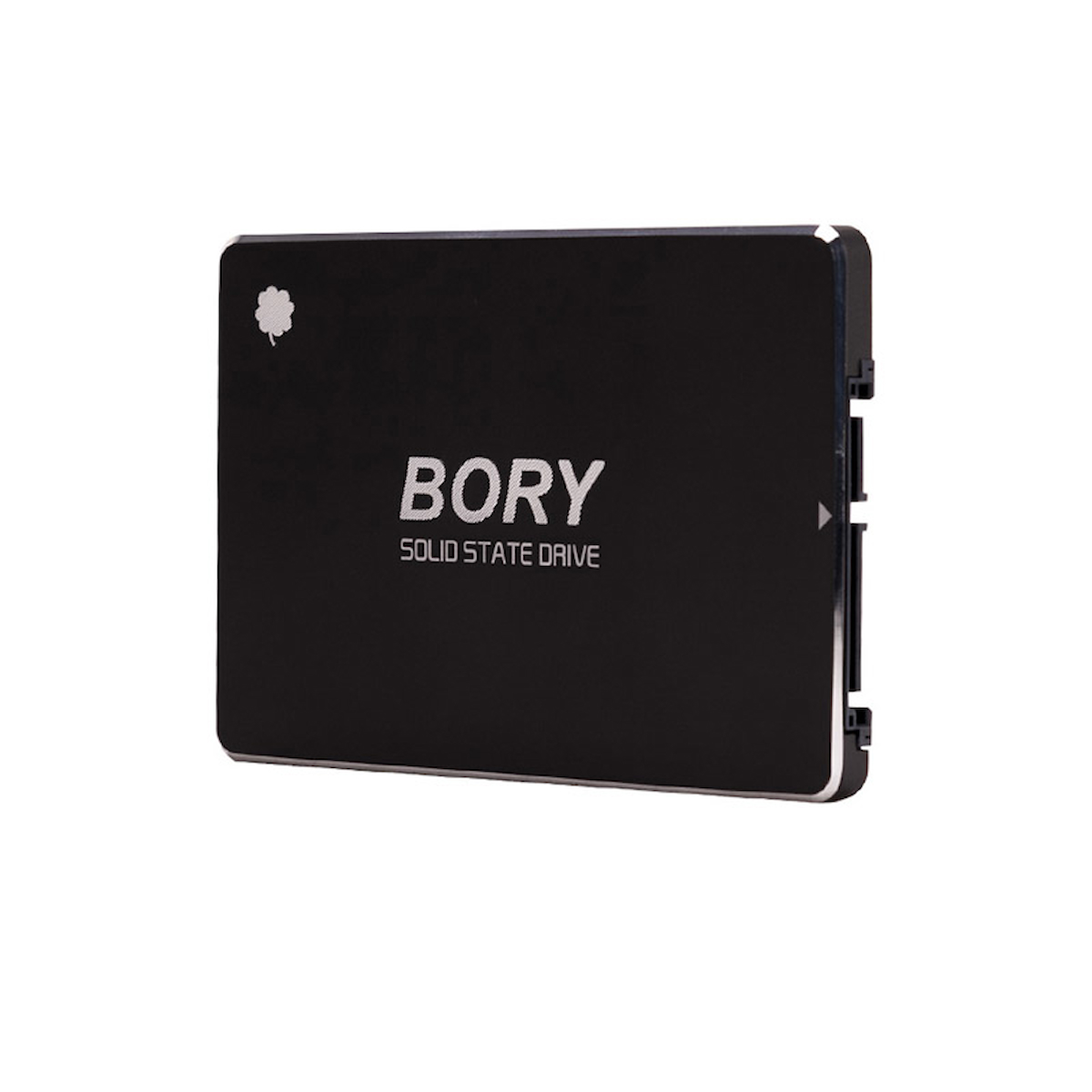 Bory R500-C256G Sata3 256 Gb SSD 550 510 Mbs Harddisk 256 Gb Kapasiteli