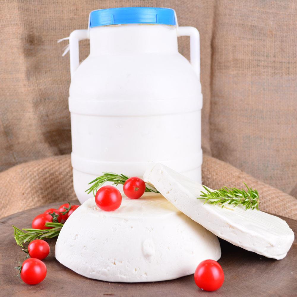 Gurmepark Erzincan Şavak Bidon Tulum Peyniri Koyun 1 Kg