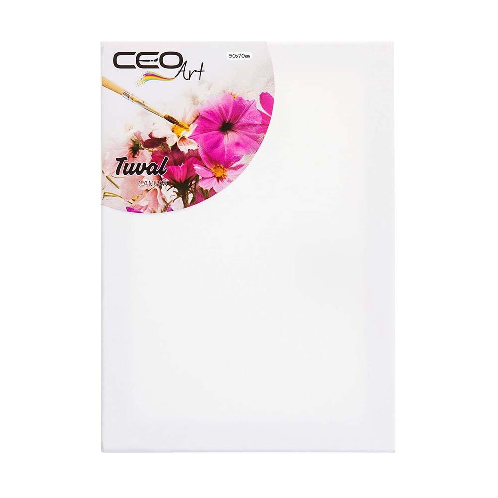 Ceoart Tuval 50X70 (Düz) Ceo00012