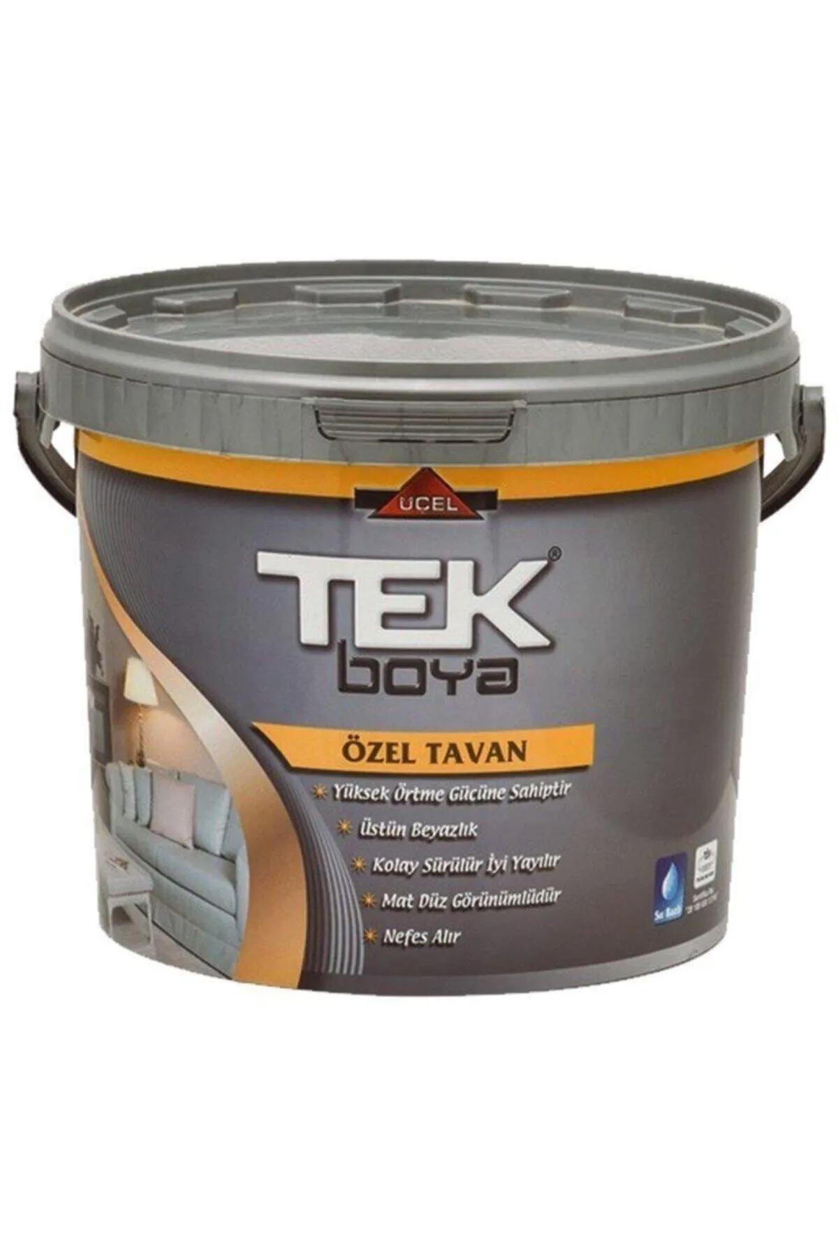 TEK TAVAN BOYASI BEYAZ 20KG 11,5LT