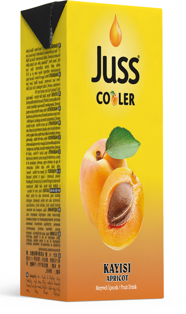 Juss Cooler Kayısı Aromalı Meyve Suyu 200 ml 27'li