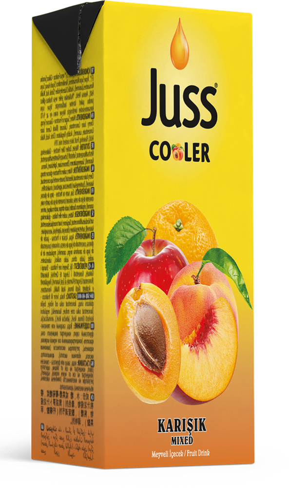 Juss Cooler Karışık Meyve Suyu 200 ml 27'li